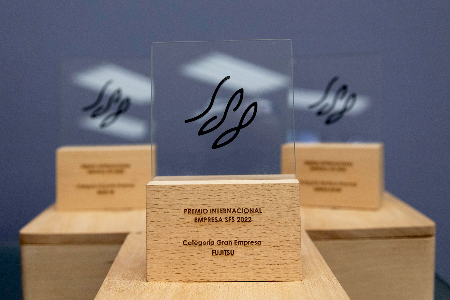 Imagen_premios_1500 III Edición de los Premios Internacionales Empresa SFS